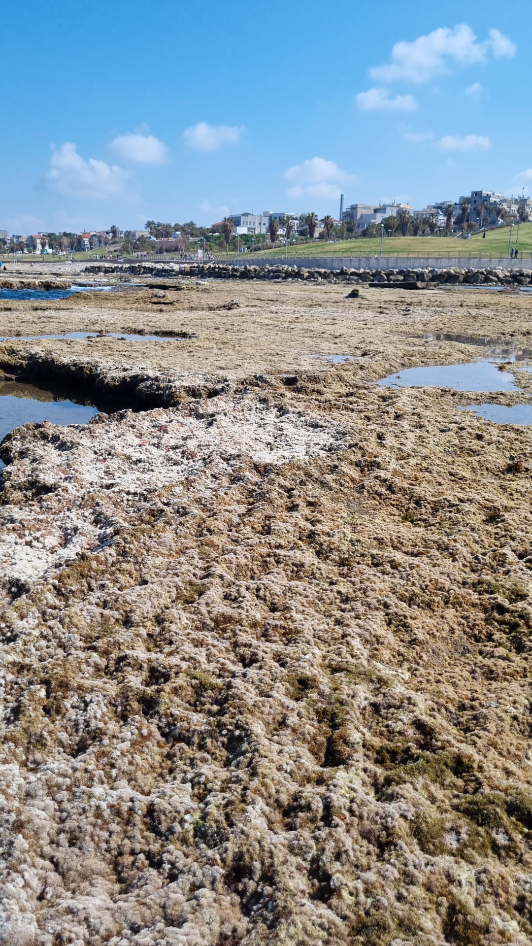 WhatsApp Image 2023-02-25 at 11.32.58 AM.jpeg